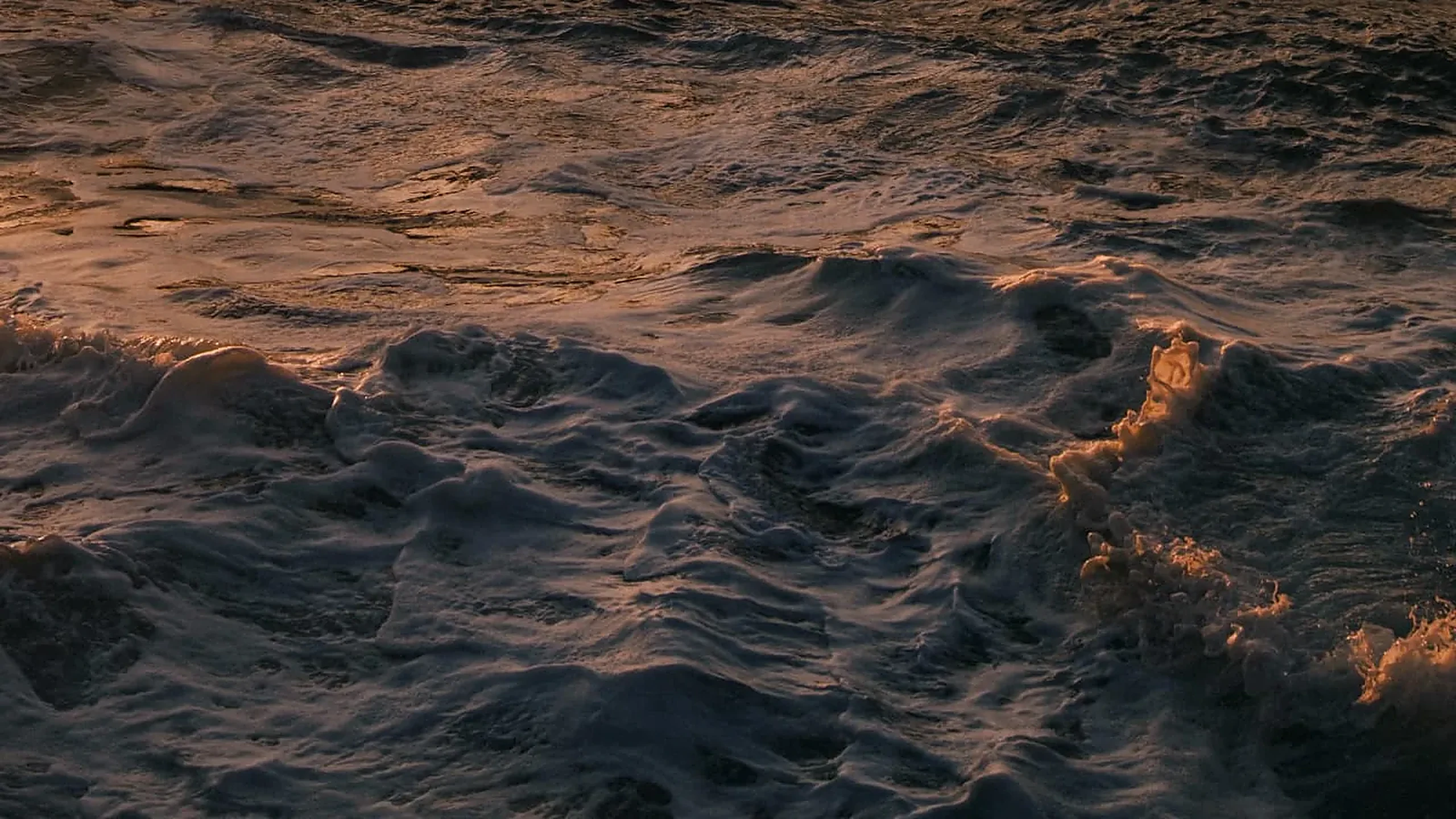 Ocean wave cresting in warm golden light